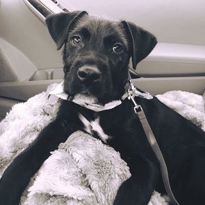 Meet your Posher, Brooke